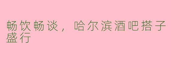 畅饮畅谈,哈尔滨酒吧搭子盛行