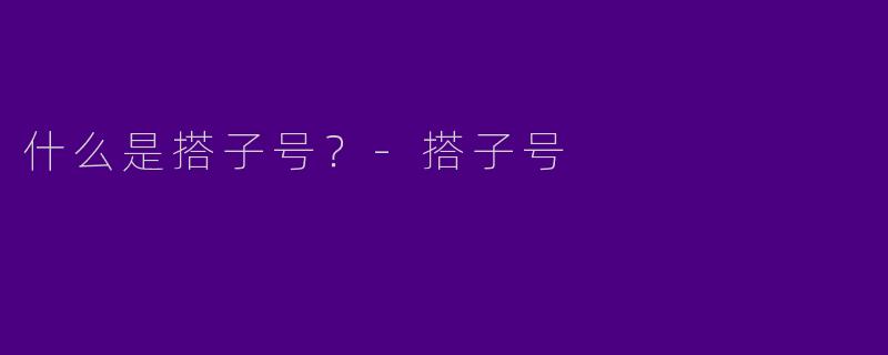 什么是搭子号?