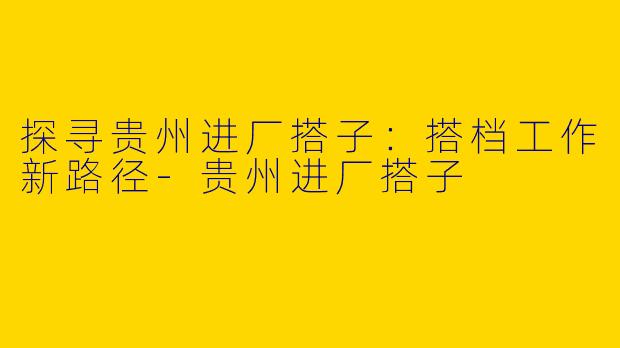探寻贵州进厂搭子：搭档工作新路径