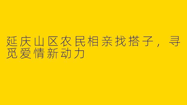 延庆山区农民相亲找搭子，寻觅爱情新动力