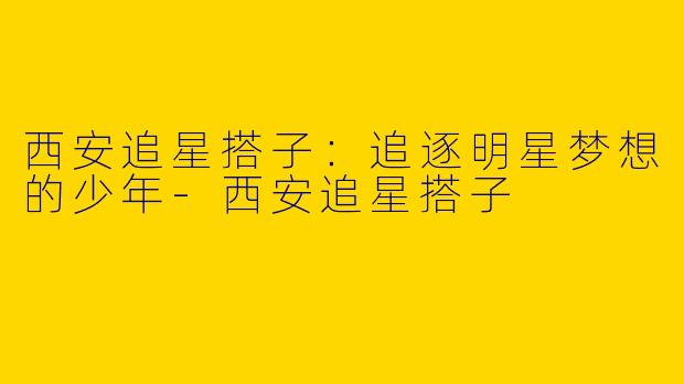 西安追星搭子：追逐明星梦想的少年-西安追星搭子