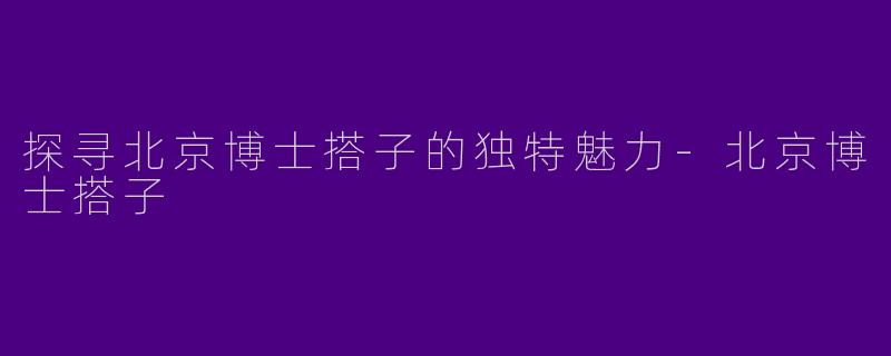 探寻北京博士搭子的独特魅力