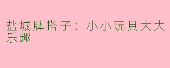 盐城牌搭子：小小玩具大大乐趣