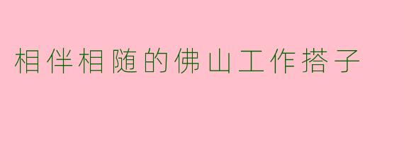 相伴相随的佛山工作搭子
