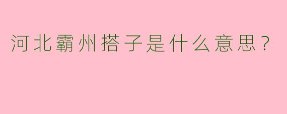 河北霸州搭子是什么意思?