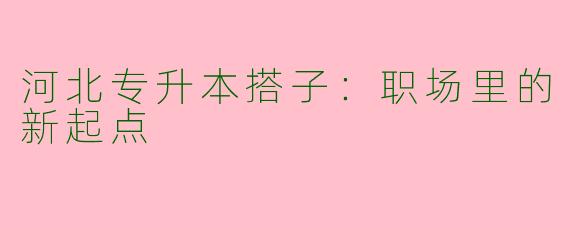 河北专升本搭子：职场里的新起点