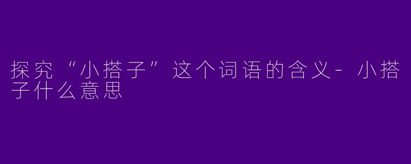 探究“小搭子”这个词语的含义