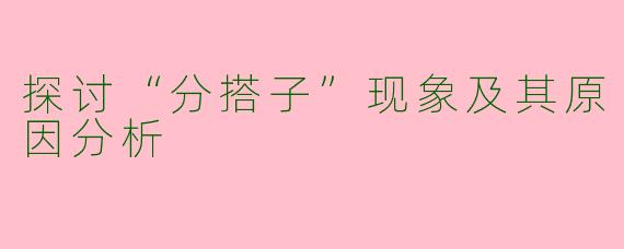 探讨“分搭子”现象及其原因分析