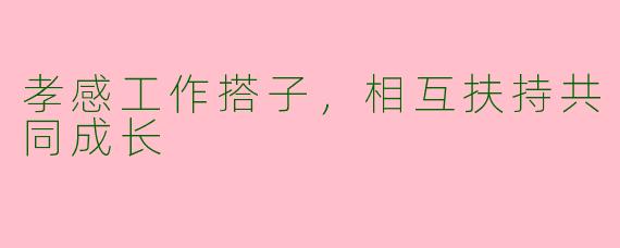 孝感工作搭子，相互扶持共同成长