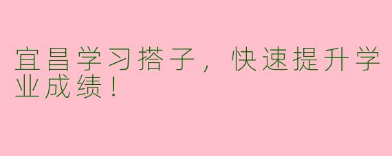 宜昌学习搭子，快速提升学业成绩！