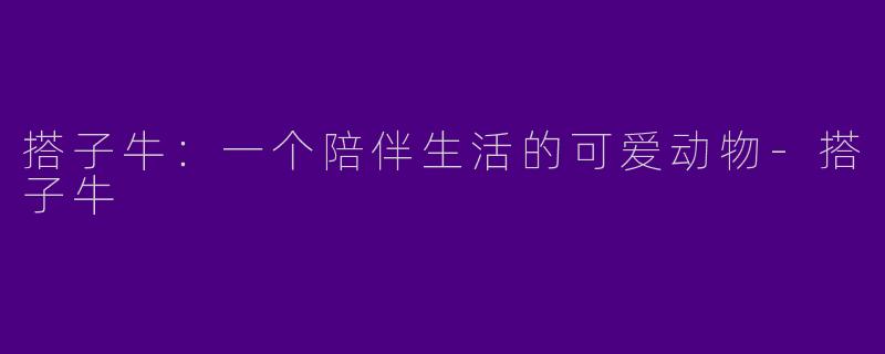 搭子牛：一个陪伴生活的可爱动物-搭子牛