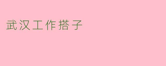 武汉工作搭子