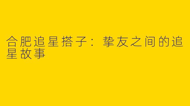 合肥追星搭子:挚友之间的追星故事