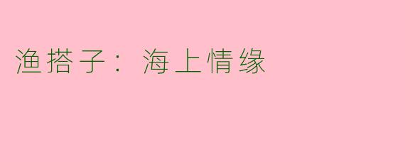 渔搭子：海上情缘