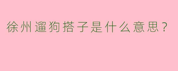 徐州遛狗搭子是什么意思？
