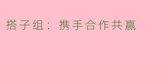 搭子组：携手合作共赢