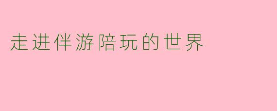 走进伴游陪玩的世界