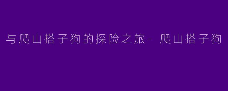 与爬山搭子狗的探险之旅