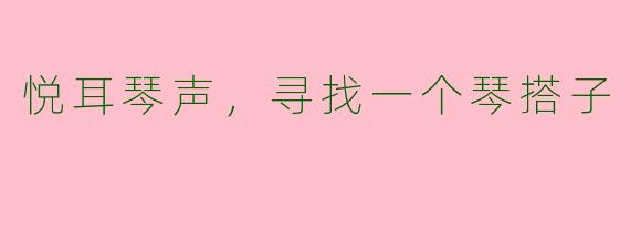 悦耳琴声，寻找一个琴搭子