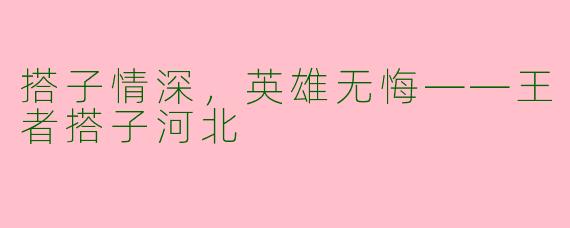 搭子情深，英雄无悔——王者搭子河北