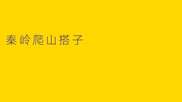 秦岭爬山搭子