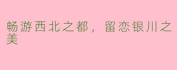 畅游西北之都，留恋银川之美