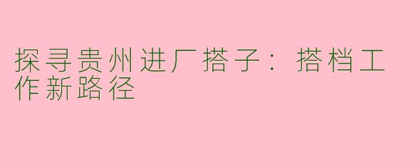 探寻贵州进厂搭子：搭档工作新路径