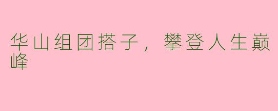 华山组团搭子，攀登人生巅峰