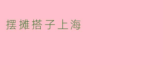 摆摊搭子上海