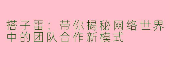 搭子雷：带你揭秘网络世界中的团队合作新模式