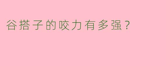 谷搭子的咬力有多强?