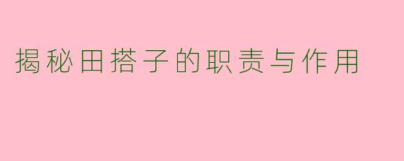 揭秘田搭子的职责与作用