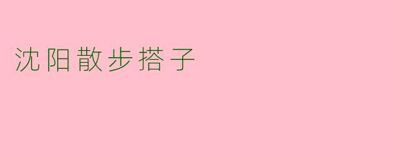 沈阳散步搭子