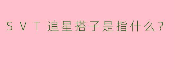 SVT追星搭子是指什么?