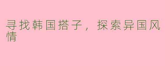 寻找韩国搭子，探索异国风情