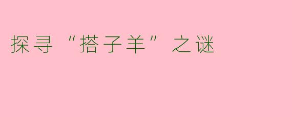 探寻“搭子羊”之谜