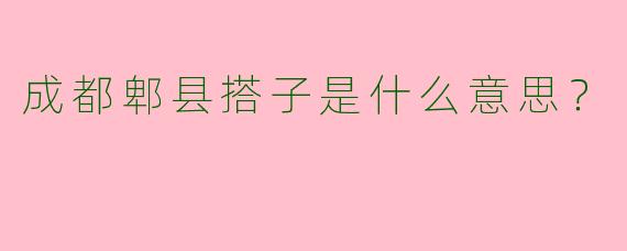 成都郫县搭子是什么意思?