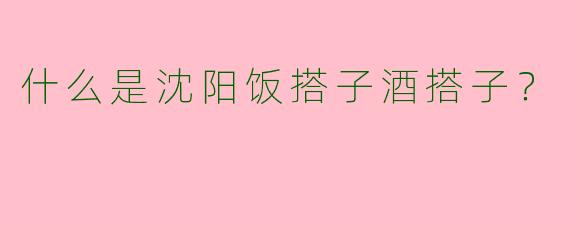 什么是沈阳饭搭子酒搭子?