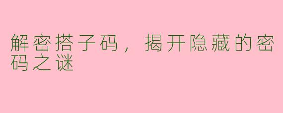 解密搭子码，揭开隐藏的密码之谜