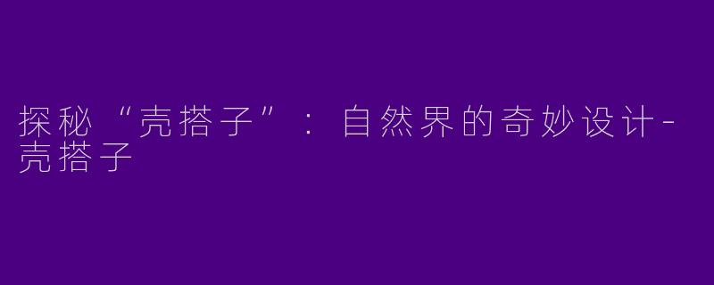 探秘“壳搭子”：自然界的奇妙设计-壳搭子