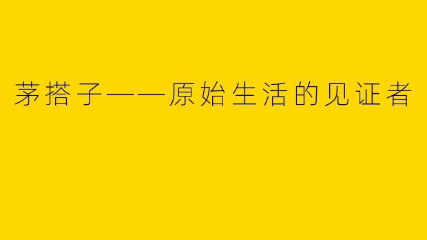茅搭子——原始生活的见证者