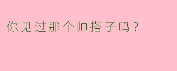 你见过那个帅搭子吗?