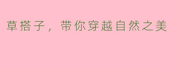 草搭子，带你穿越自然之美