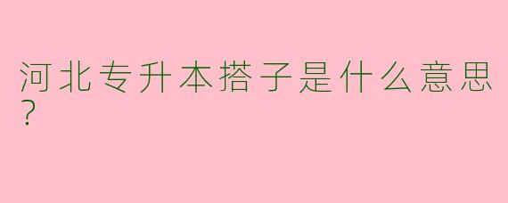河北专升本搭子是什么意思？
