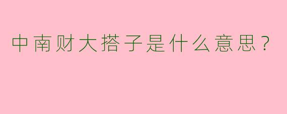 中南财大搭子是什么意思？