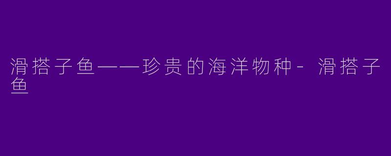滑搭子鱼——珍贵的海洋物种-滑搭子鱼