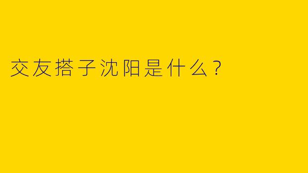 交友搭子沈阳是什么？