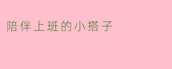 陪伴上班的小搭子