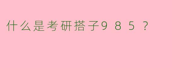 什么是考研搭子985？