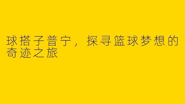 球搭子普宁，探寻篮球梦想的奇迹之旅